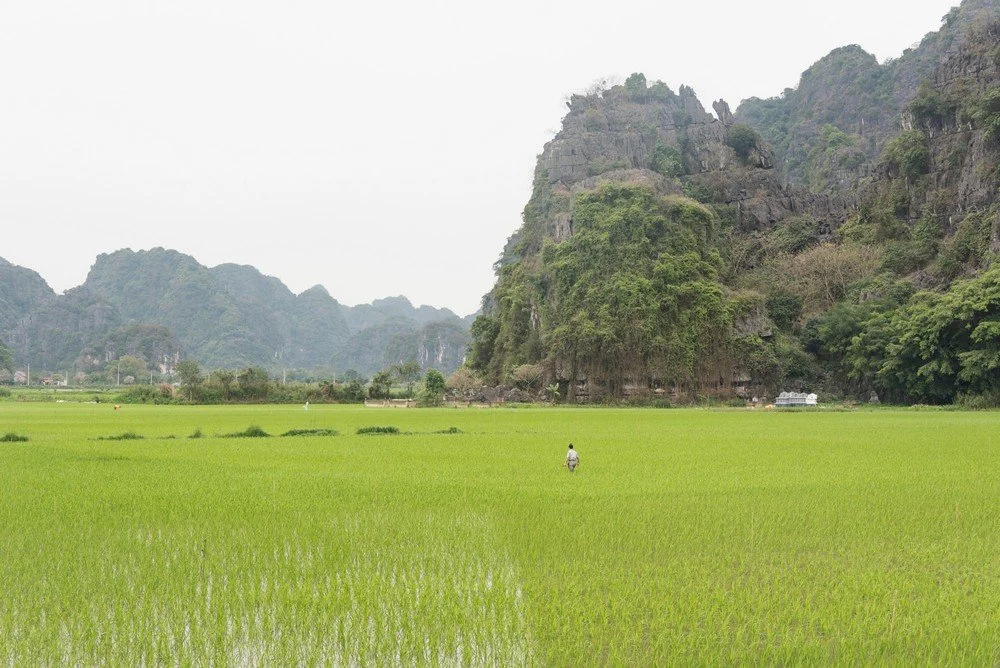 D22_7526 Ninh Binh_cm.jpg