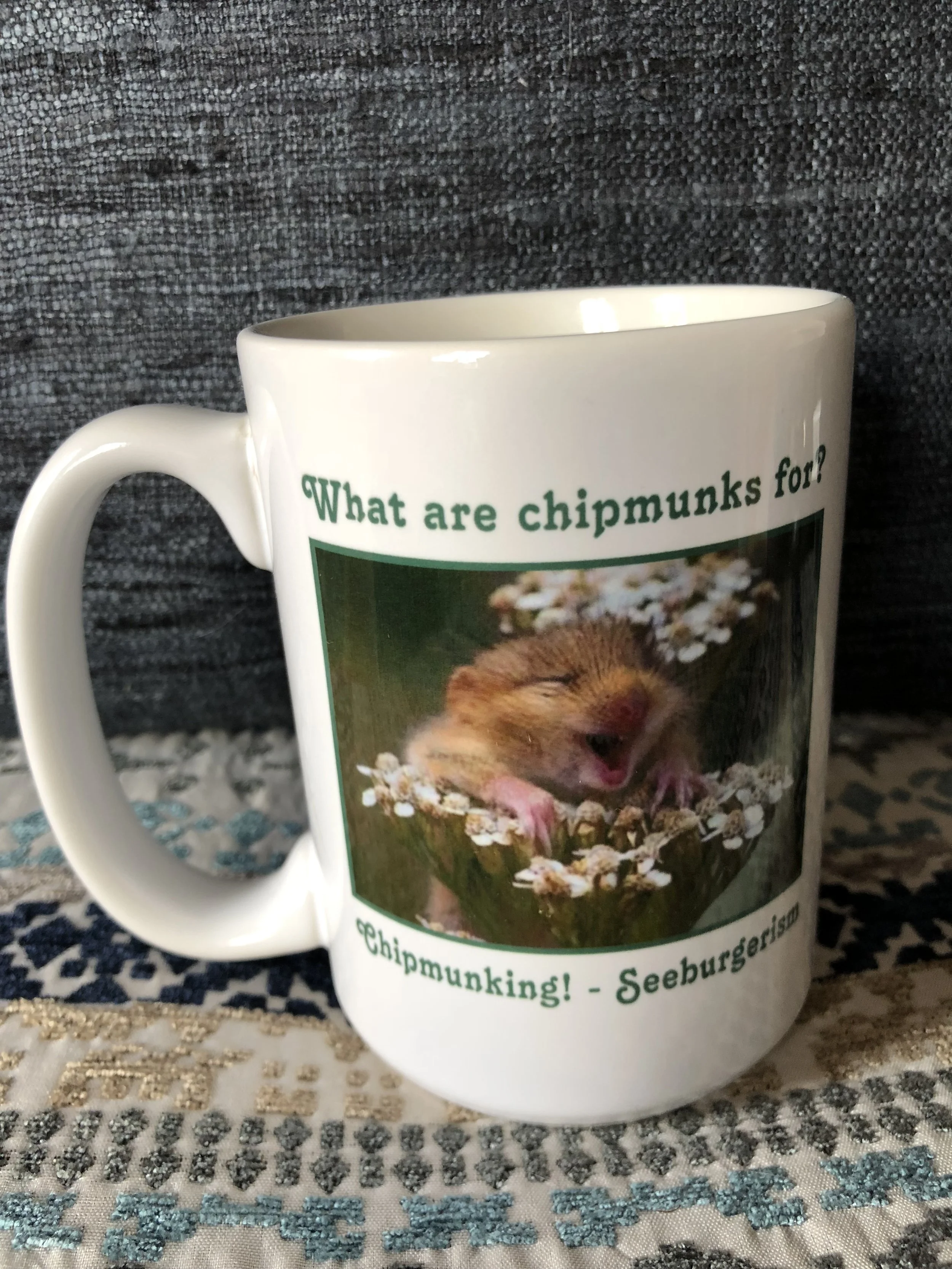 chimmunking.jpeg