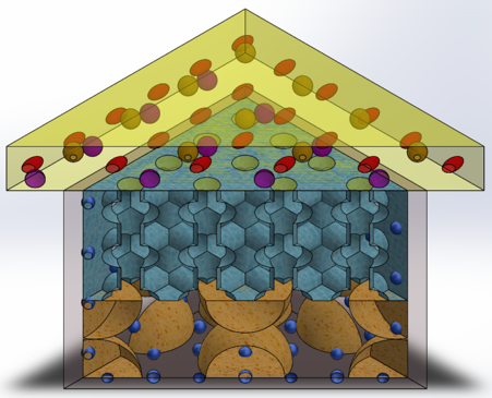 Regenerative Dressing: Cross Section