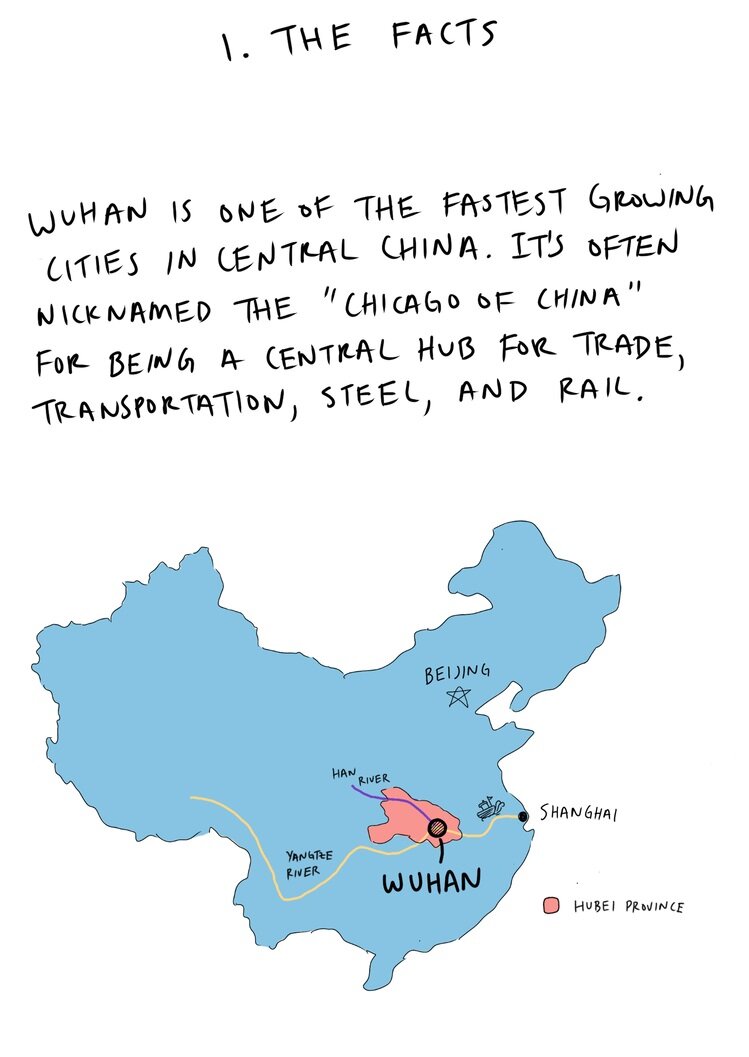 the wuhan i know comic laura gau - 03.jpg