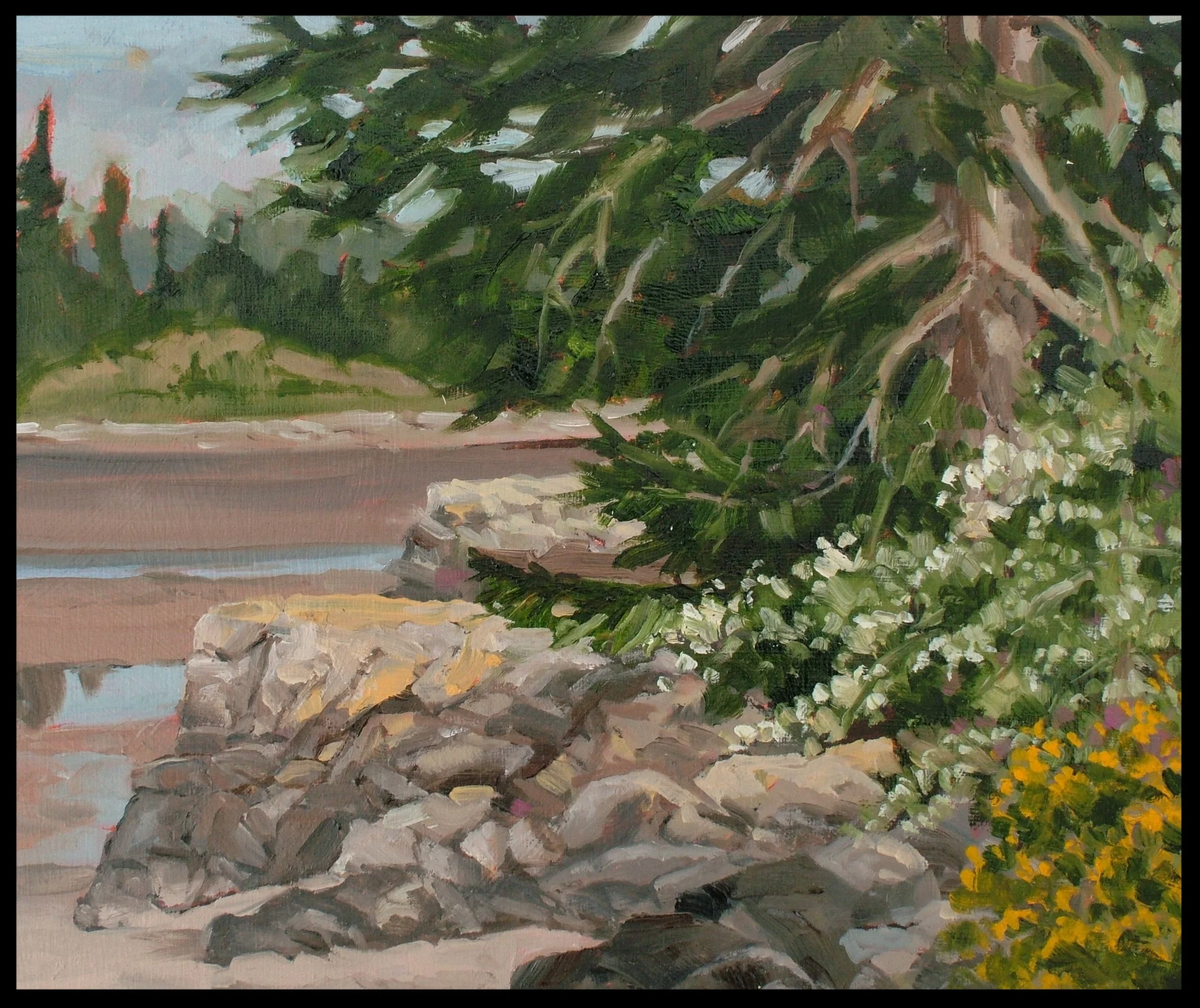 Tower Point Metchosin May 2016