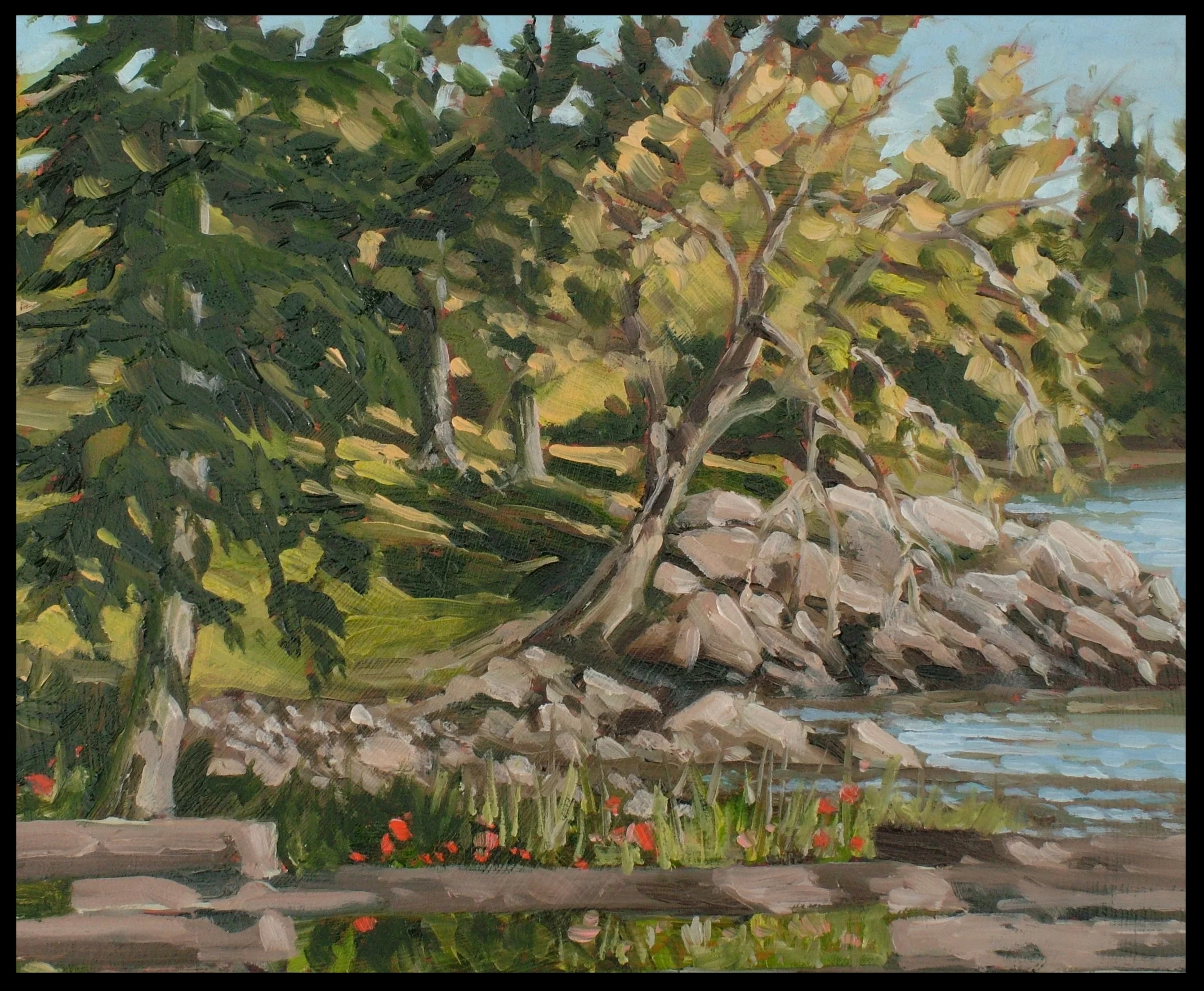 Spring Morning Banfield Park April 2016