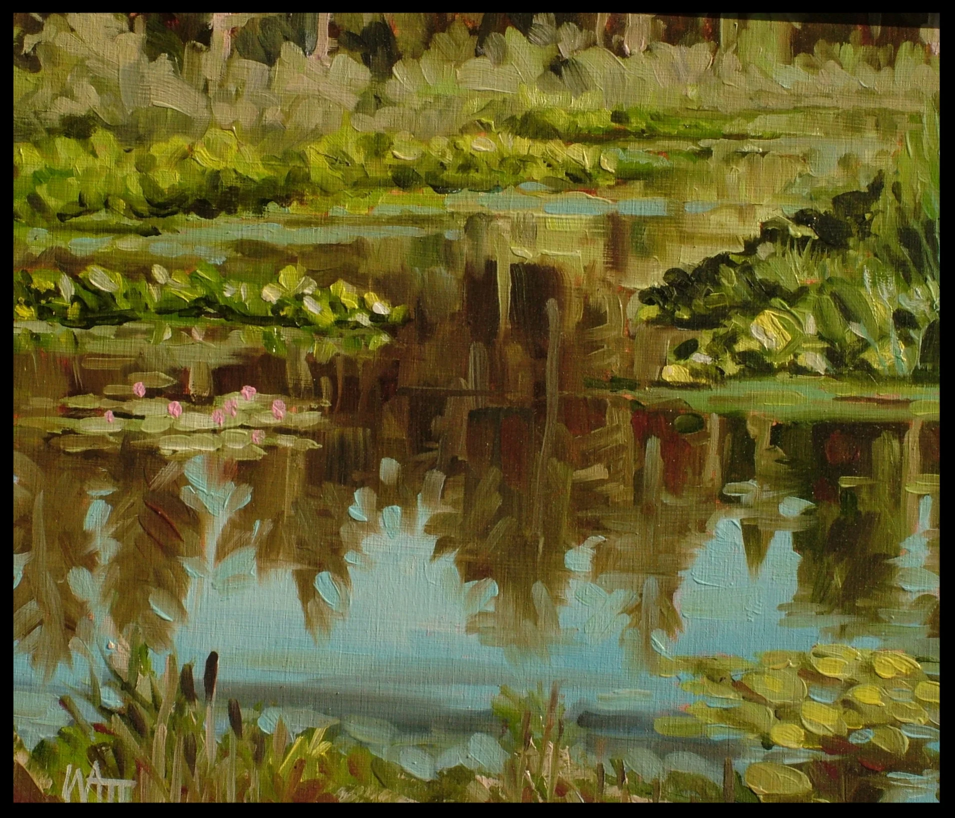 Beaver Lake Ponds Aug 2016