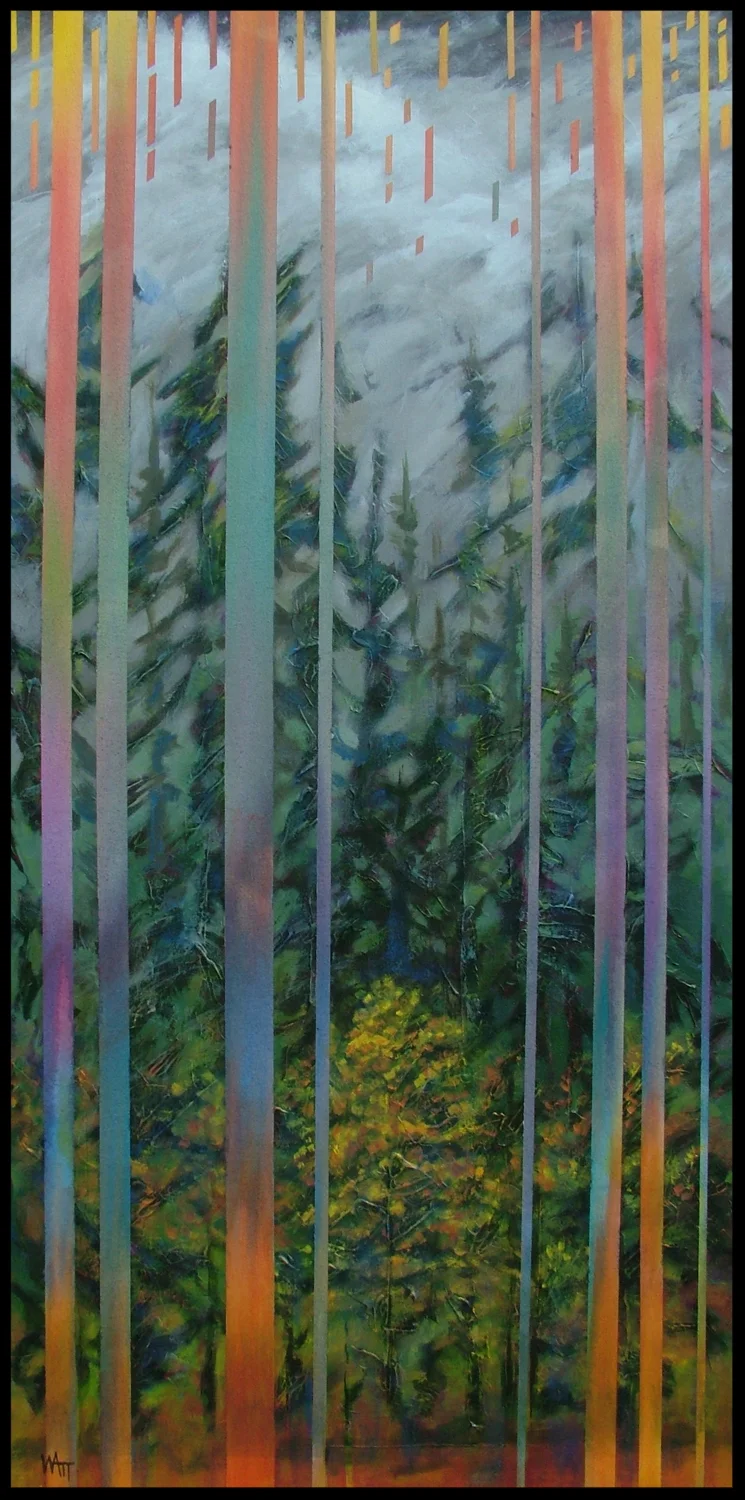 Rain Forest June 2014