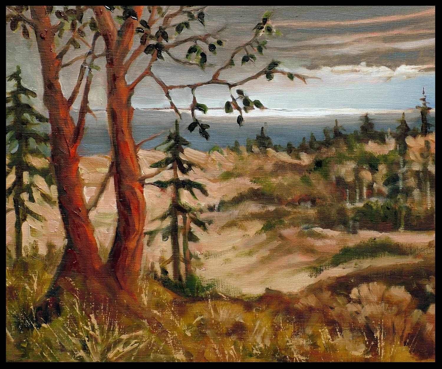 Colwood View Jan 31 2017