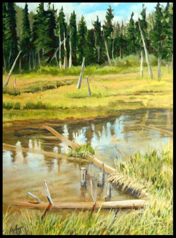 Beaver Pond Hope-Princeton