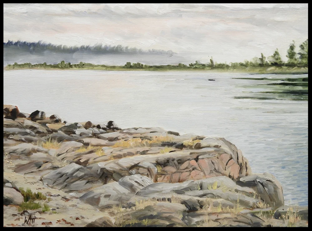 Misty day at Saanichton Bay