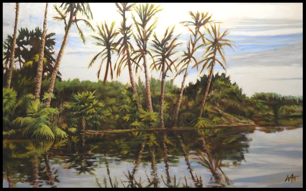 Estuary at San Jose del Cabo