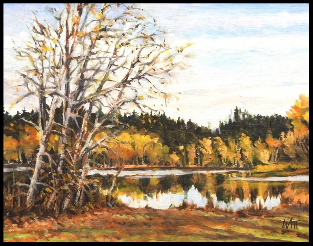 Elk Lake Fall