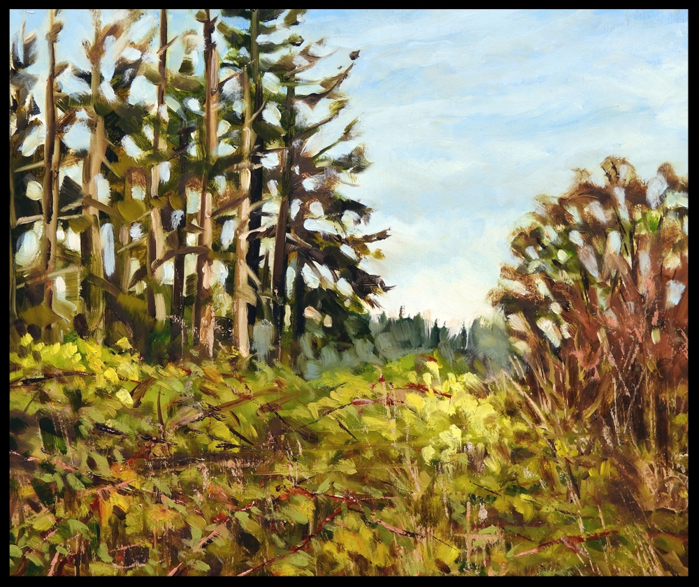 Above Esquimalt Lagoon