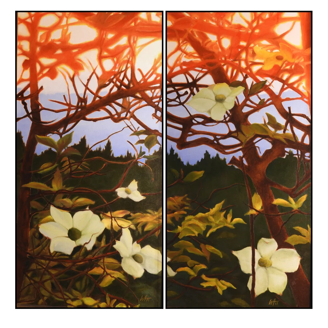 Spring Window Dreams
