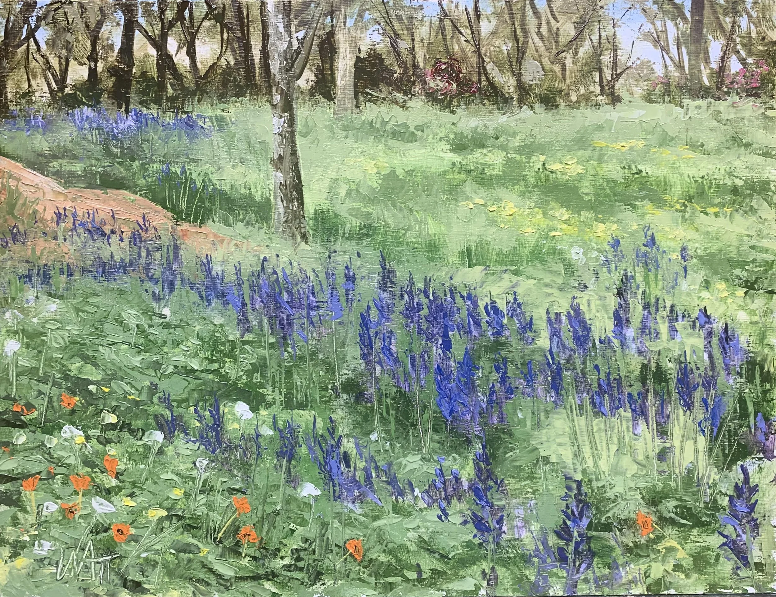 Playfair Park 05.14.25