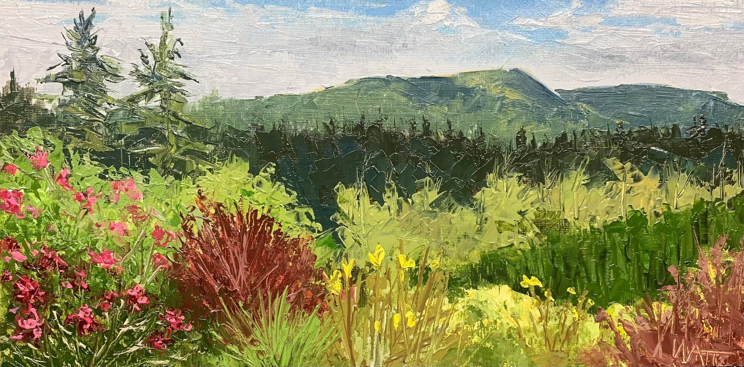 Another Garden View 05.21.25