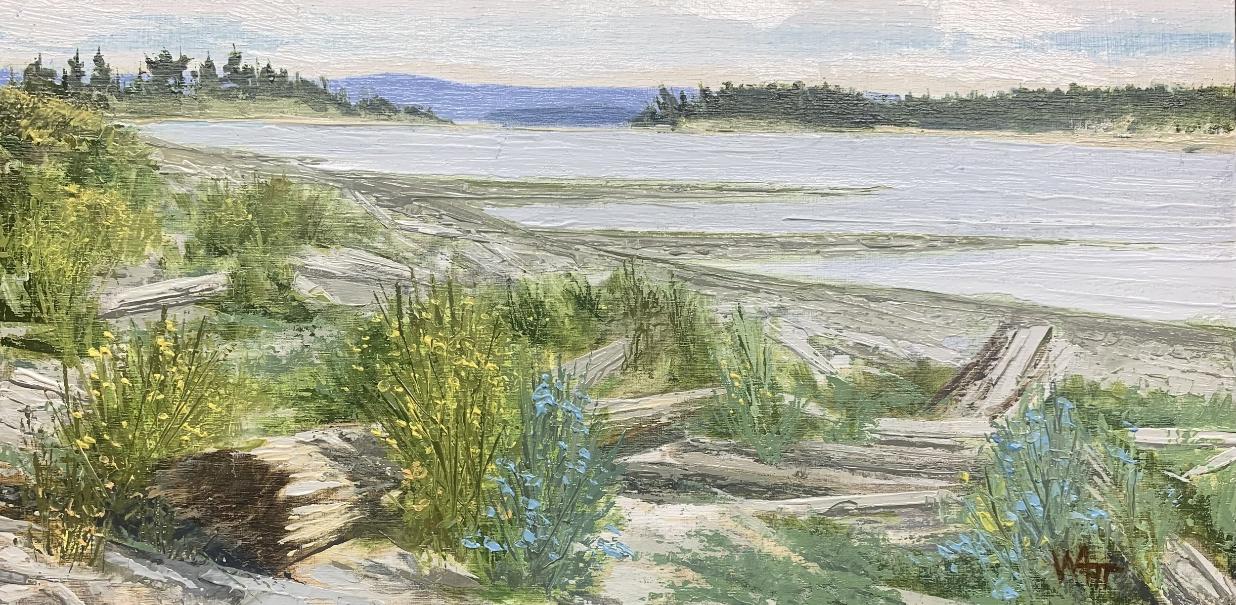 Island View 849  06.06.25  SOLD