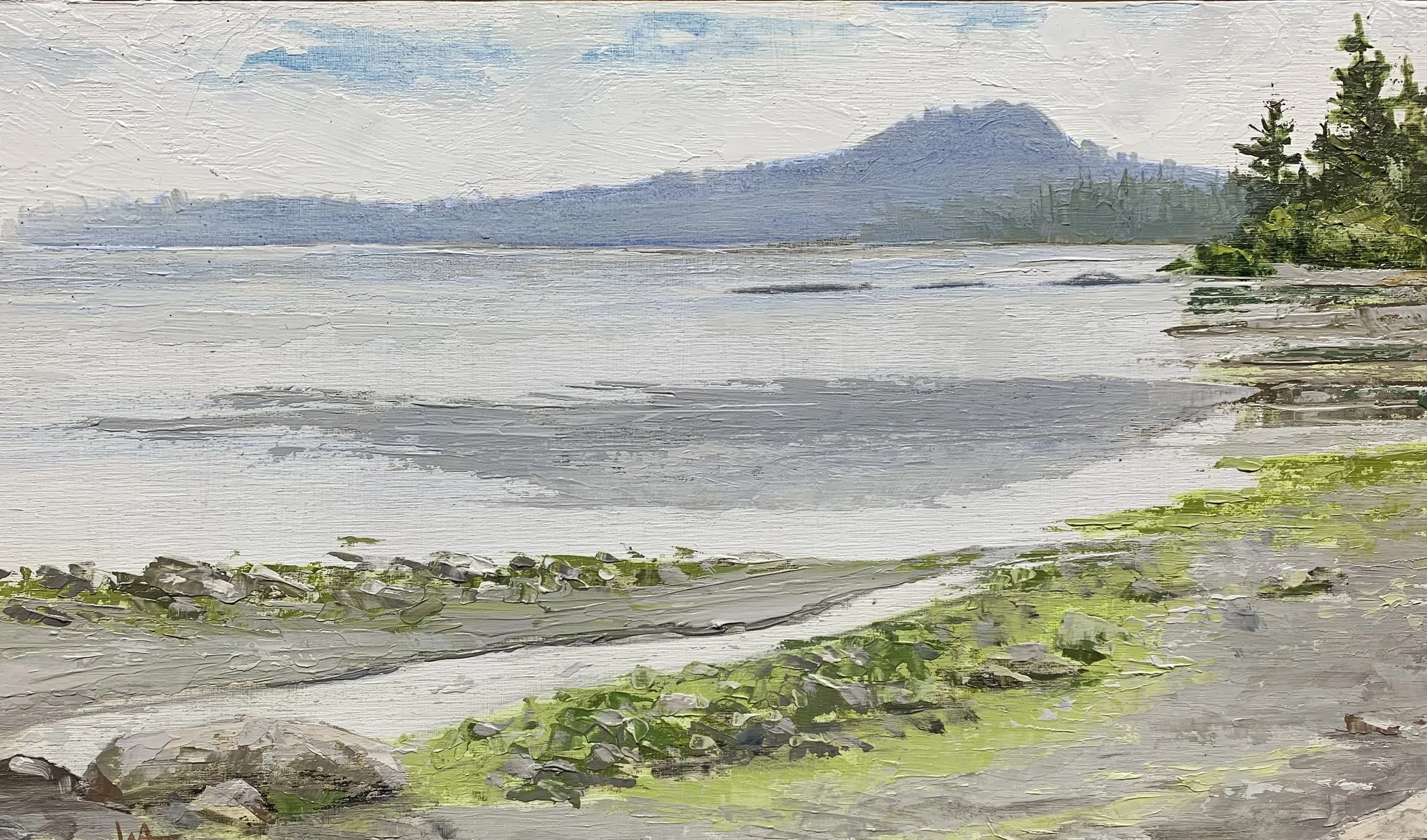 P'kols Mist (Mt. Douglas) 06.11.25