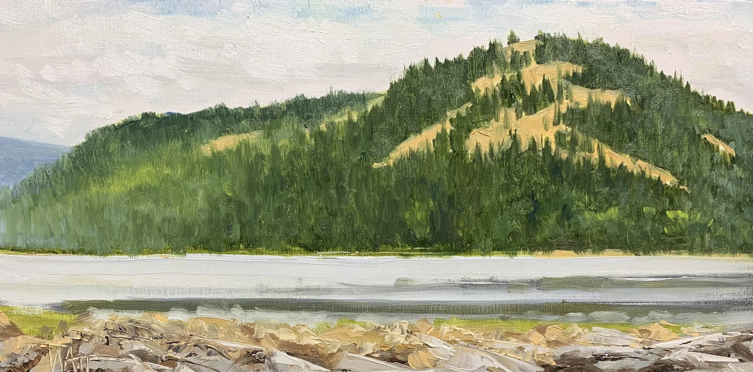 Mt. Tuam from Moses Point