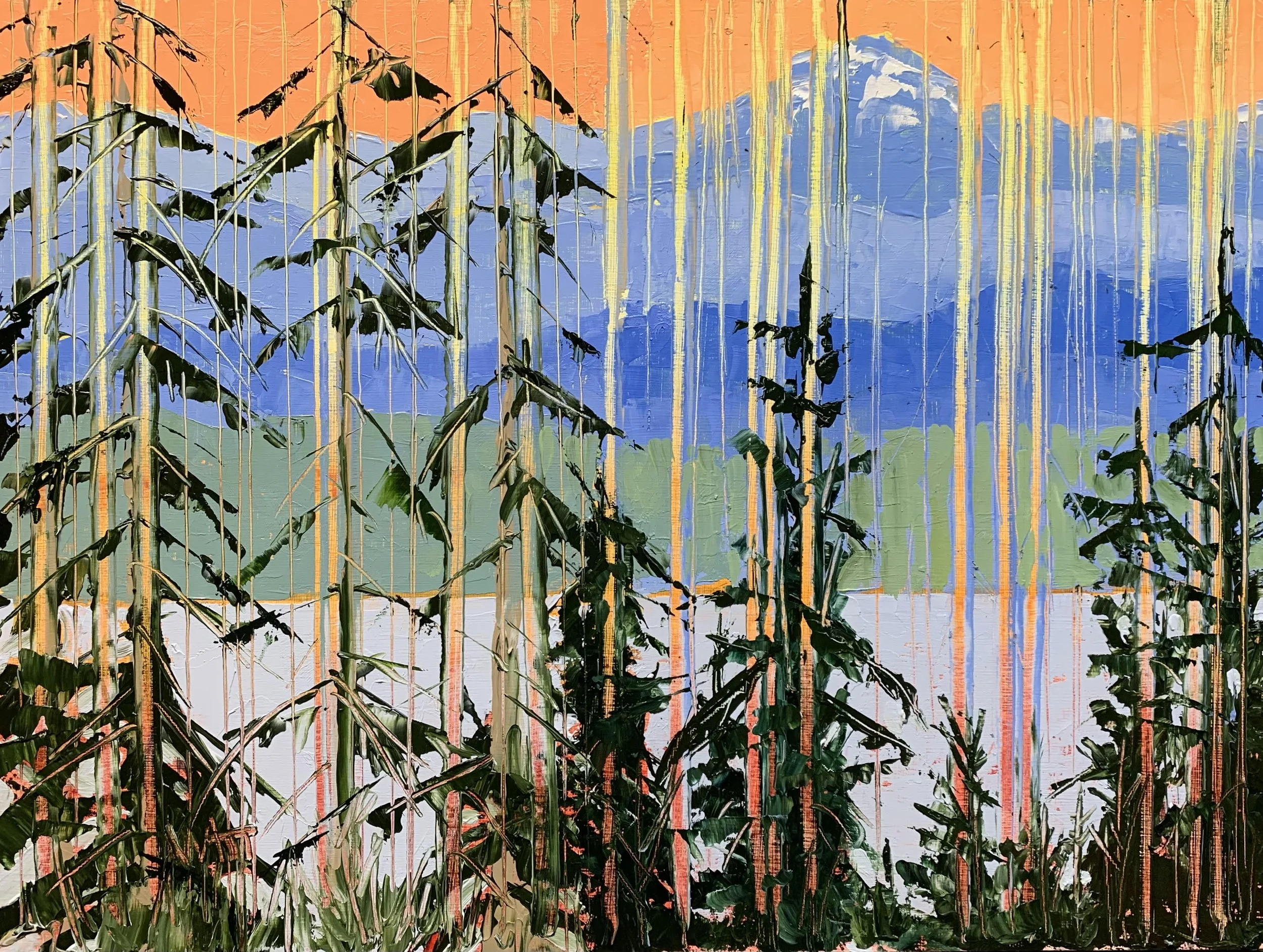 Summer Rain Study 08.25.25