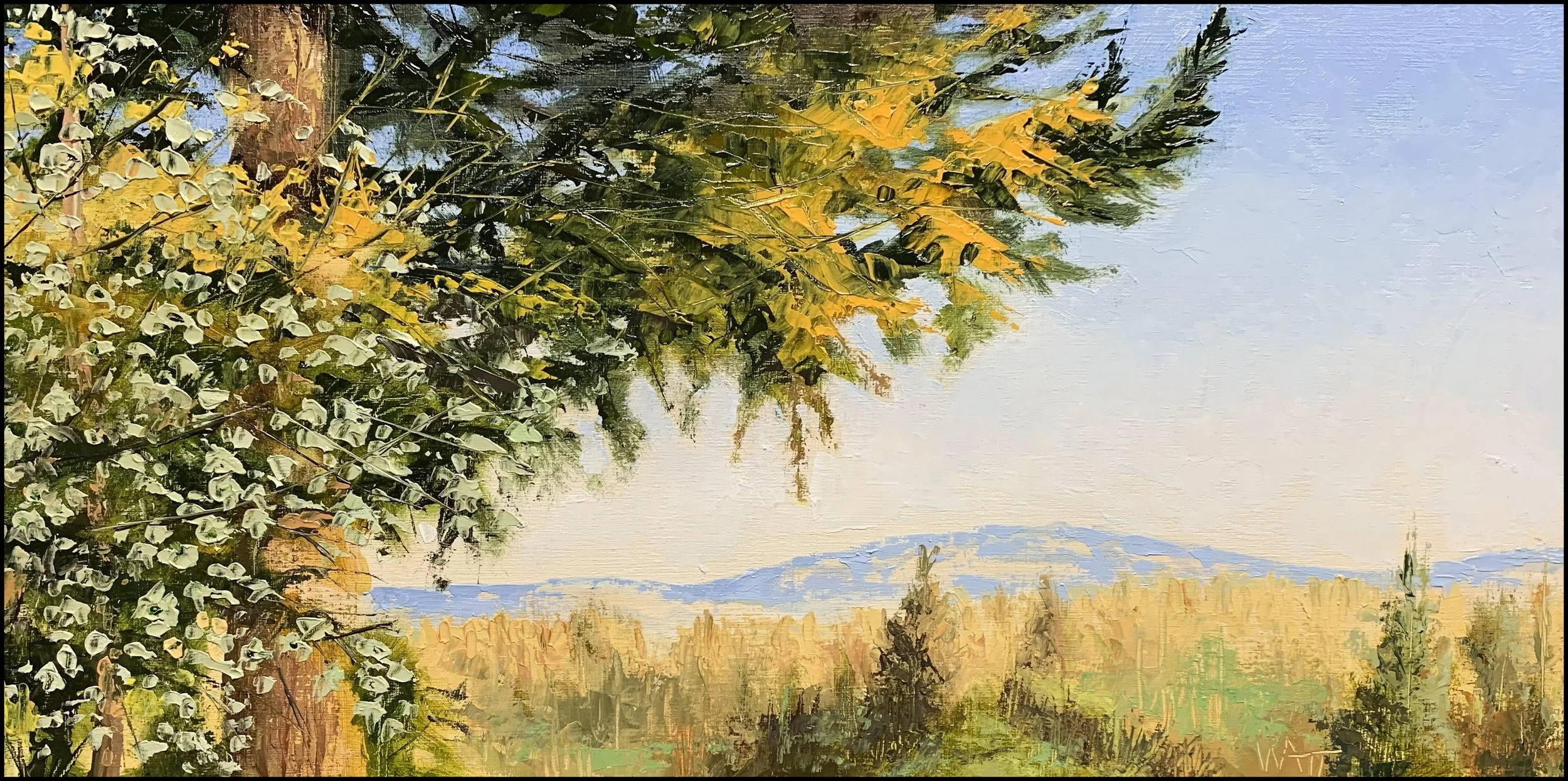 Spring Morning 