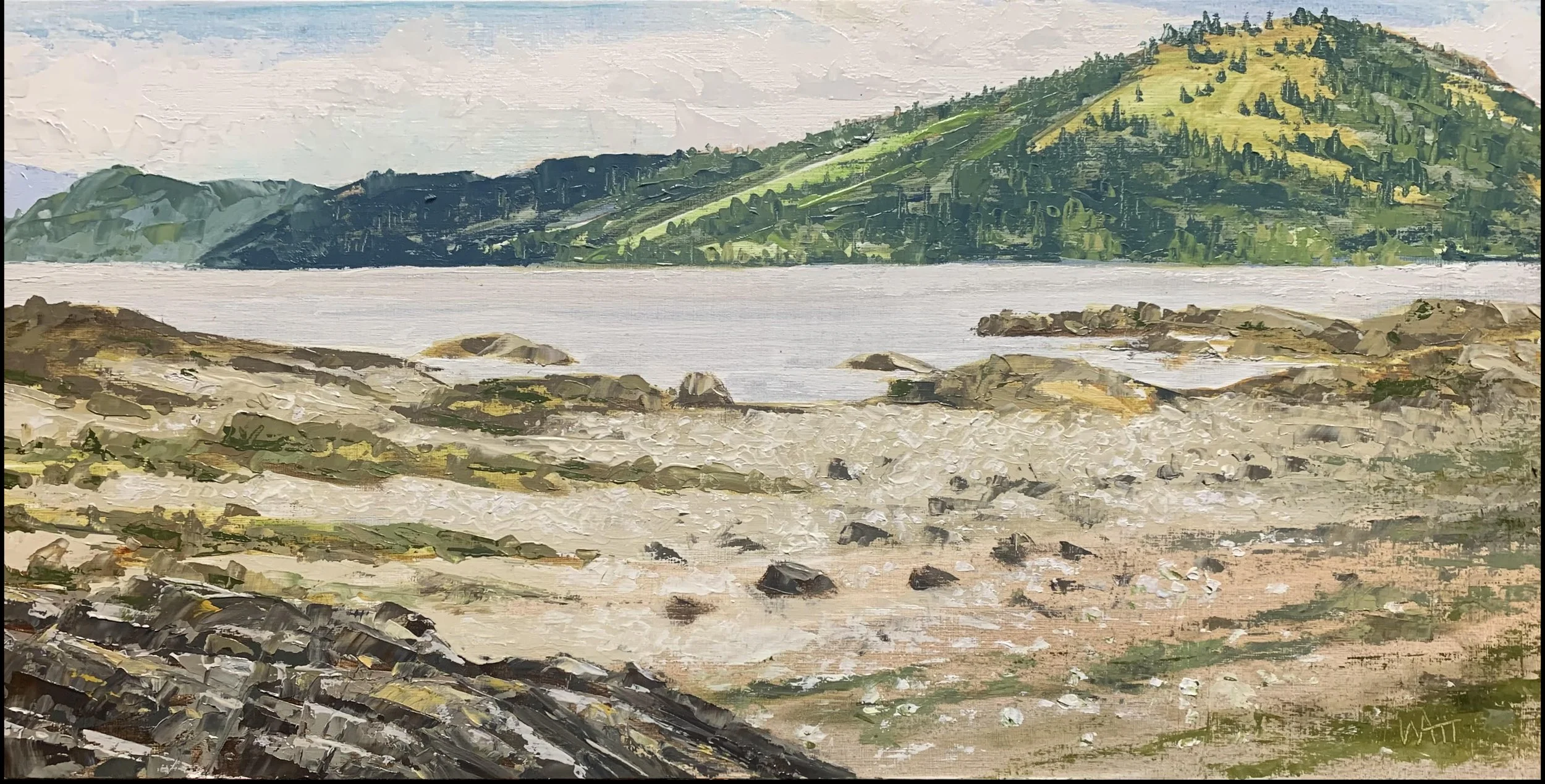 Saltspring from Moses Point