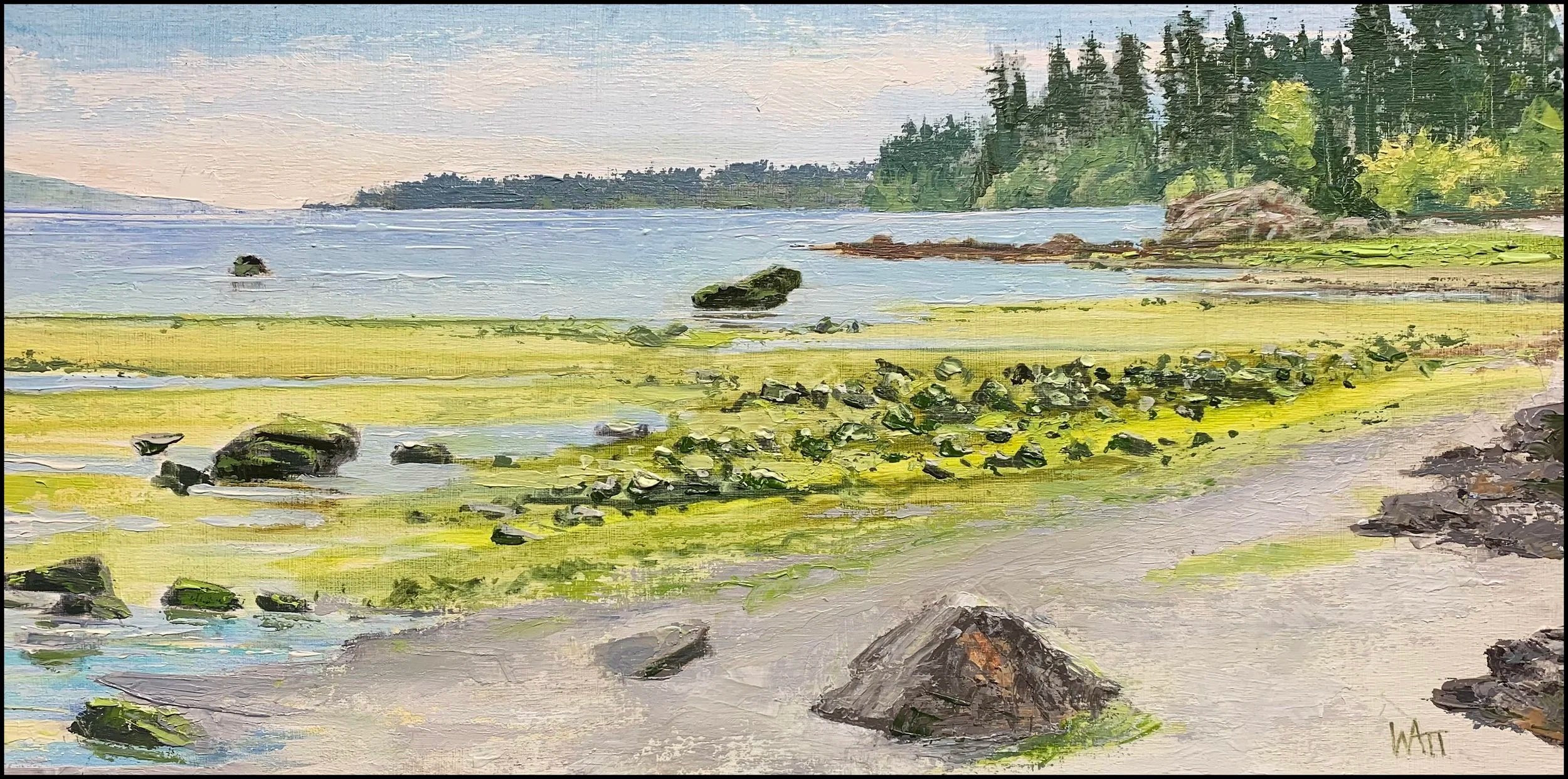 Cordova Bay Beach