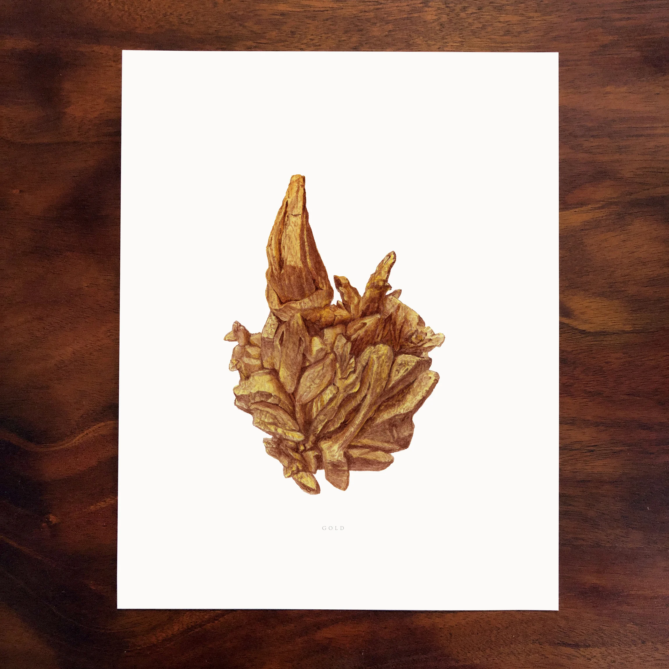 gold 2 print.jpg