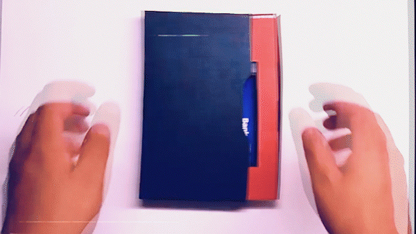 Case 2 Smaller.gif