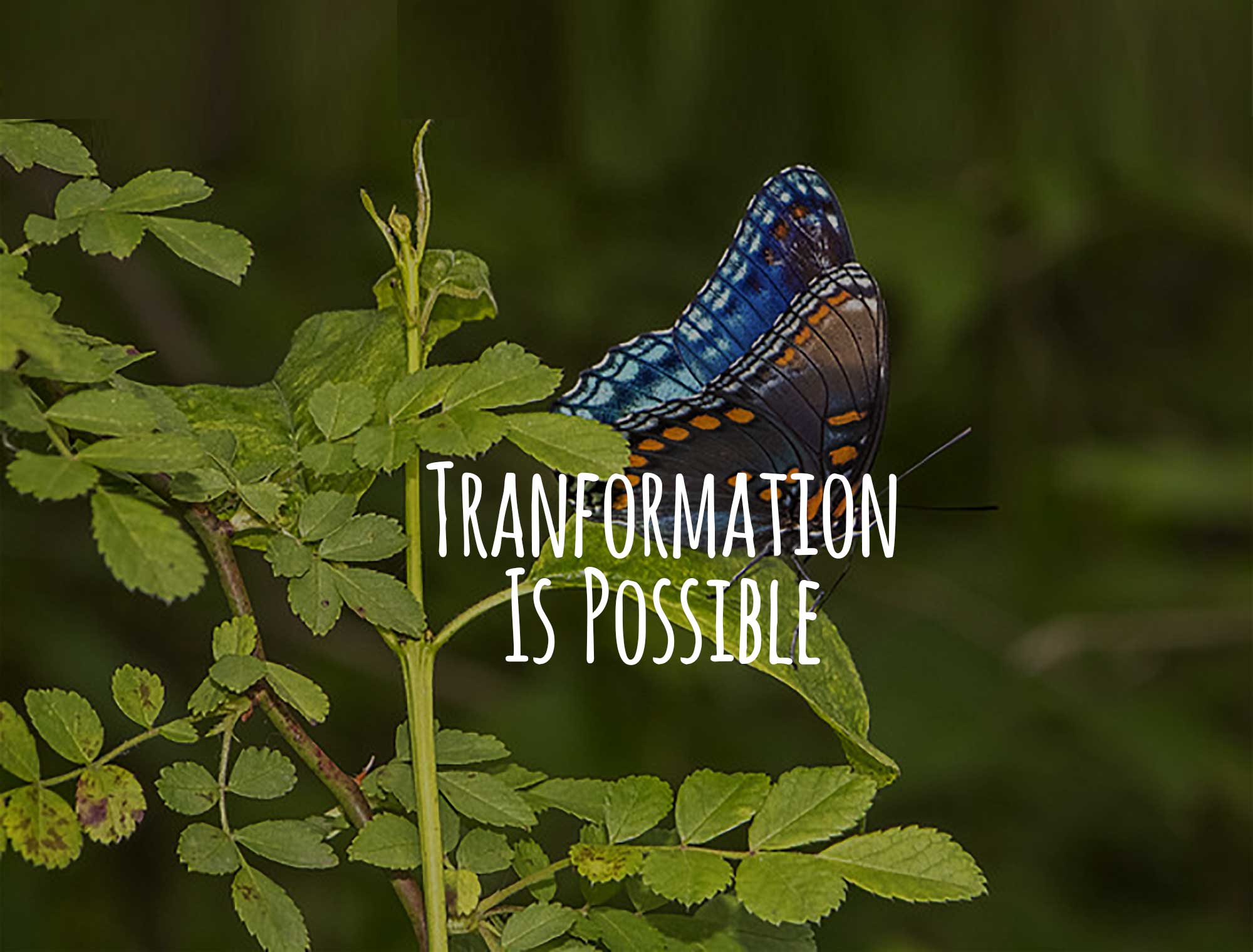 awc-slide-transformation2.jpg