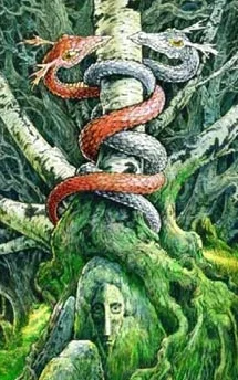 The Wild Wood Tarot - Balance The polarized energies of the land interweave and intertwine around the staff of the heavens, generating the pulse of life...The human face of the wildwood has both a light and a dark side... both are natural and necessary components of the human condition"