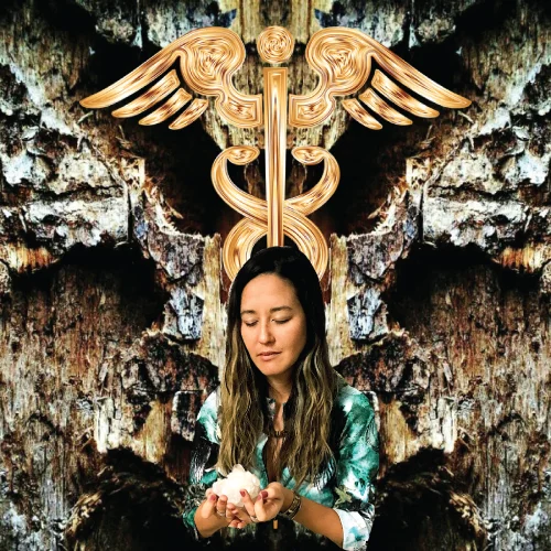crystalshamanicsessions.jpg