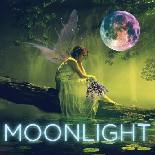 moonlight.jpg