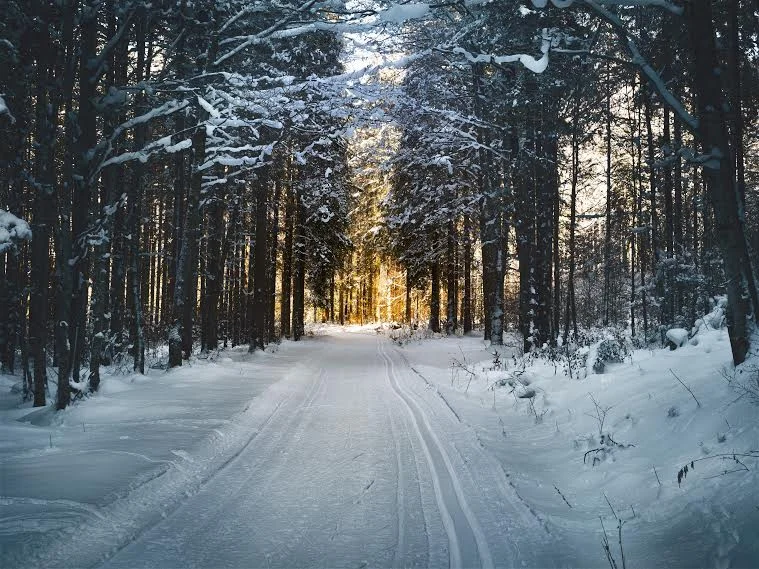 deepwintervision.jpg