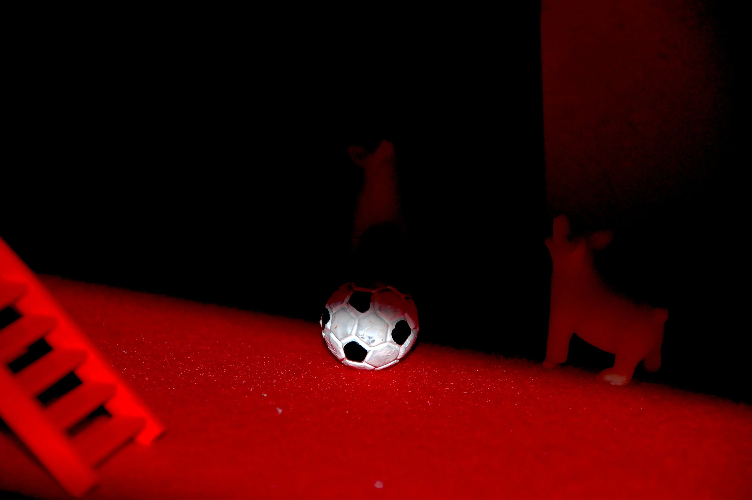 DSC_0040 copy.jpg