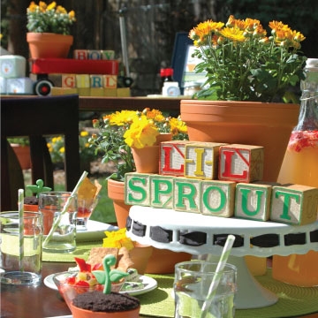LIL' SPROUT BABY SHOWER