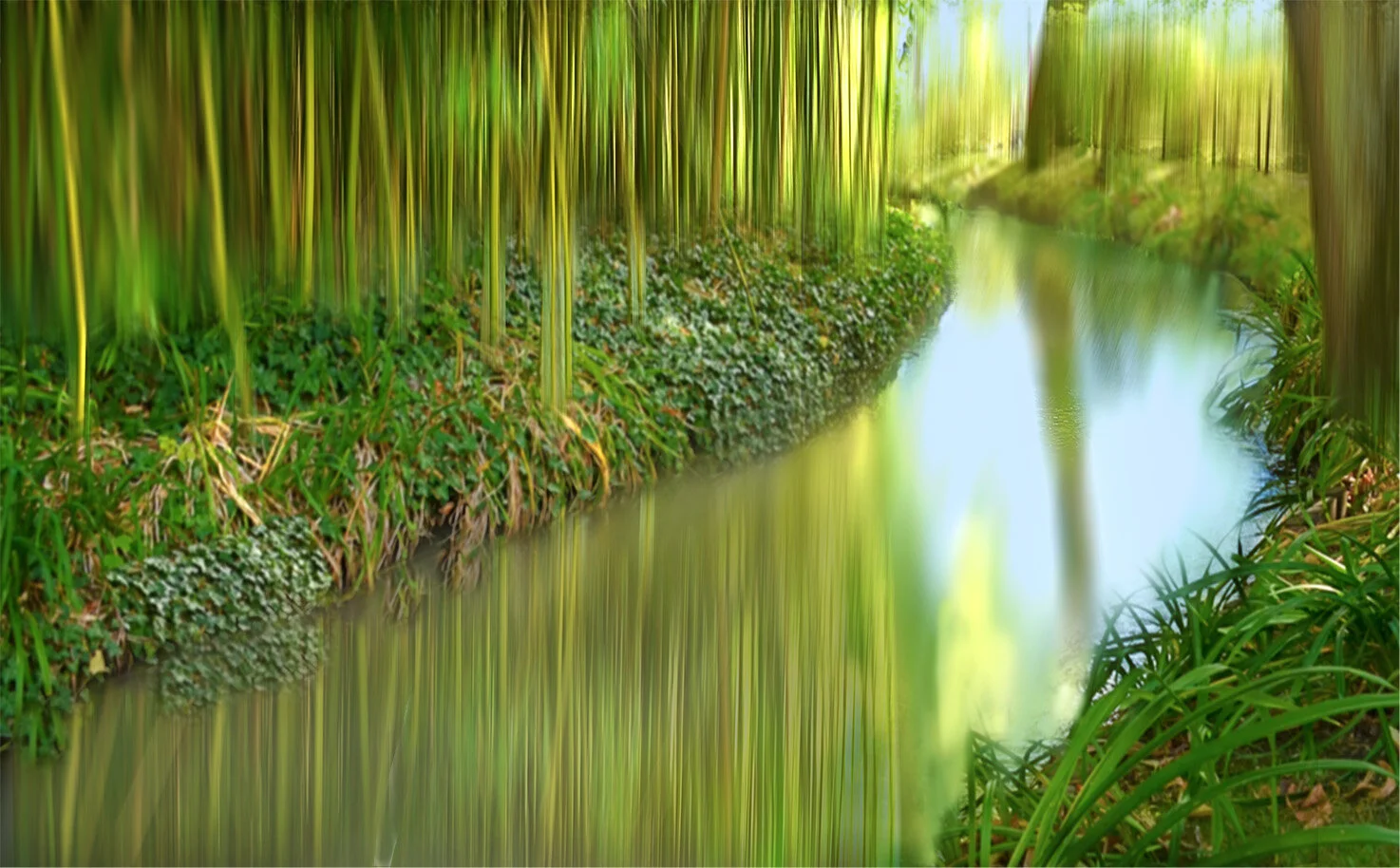Monet’s Garden, Giverney