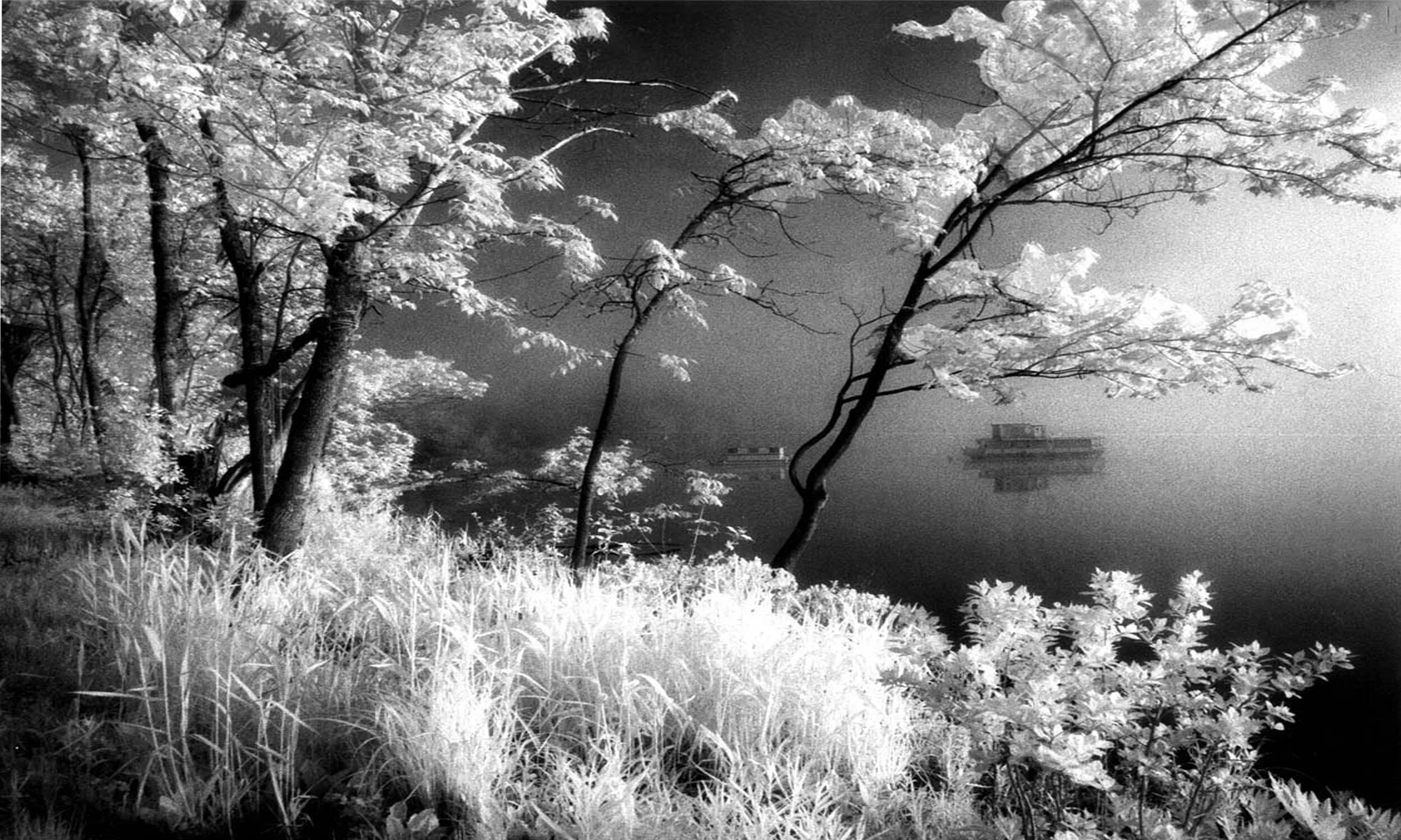 First Light, New Brunswick, Canada