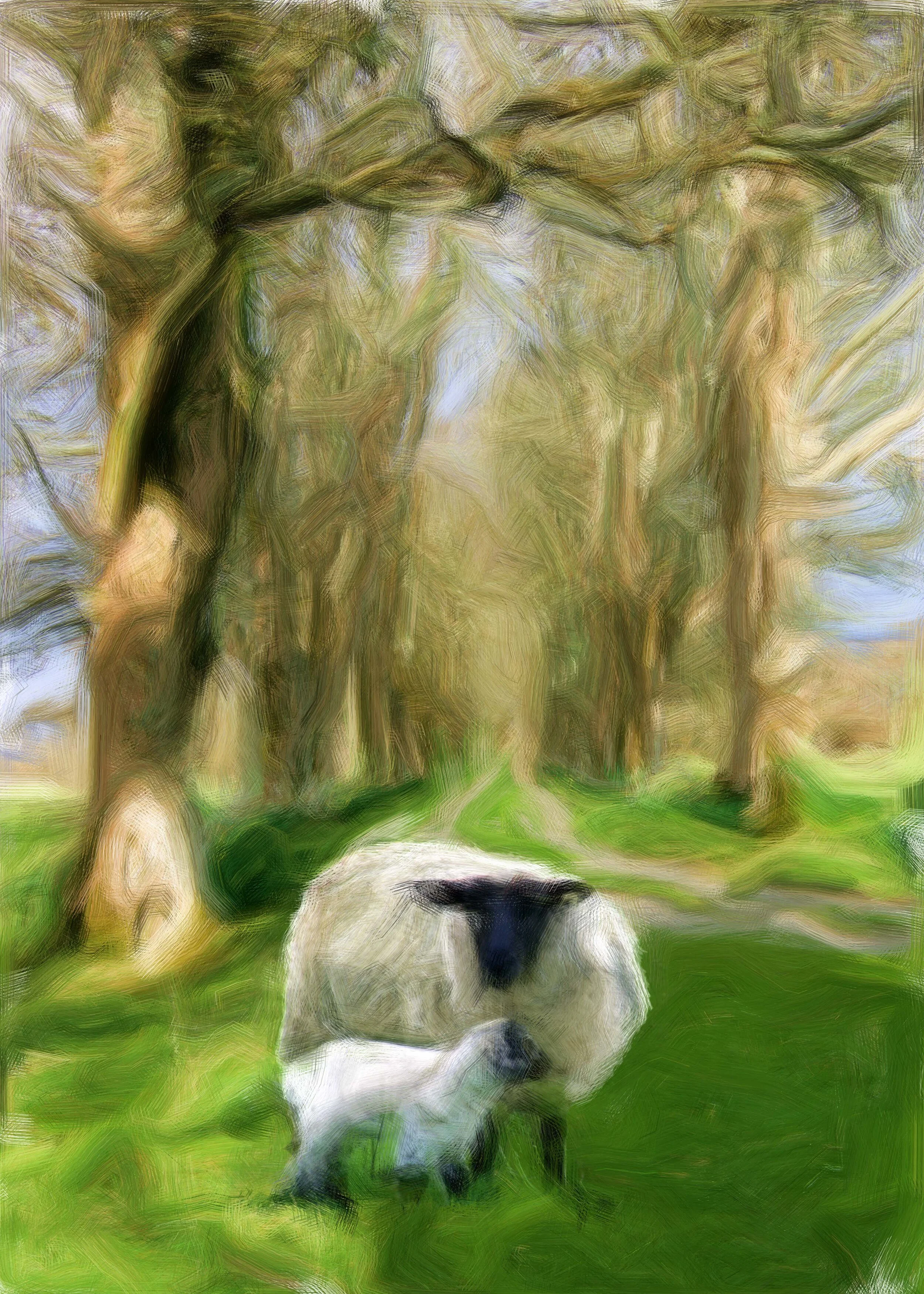 County Mayo, Ireland