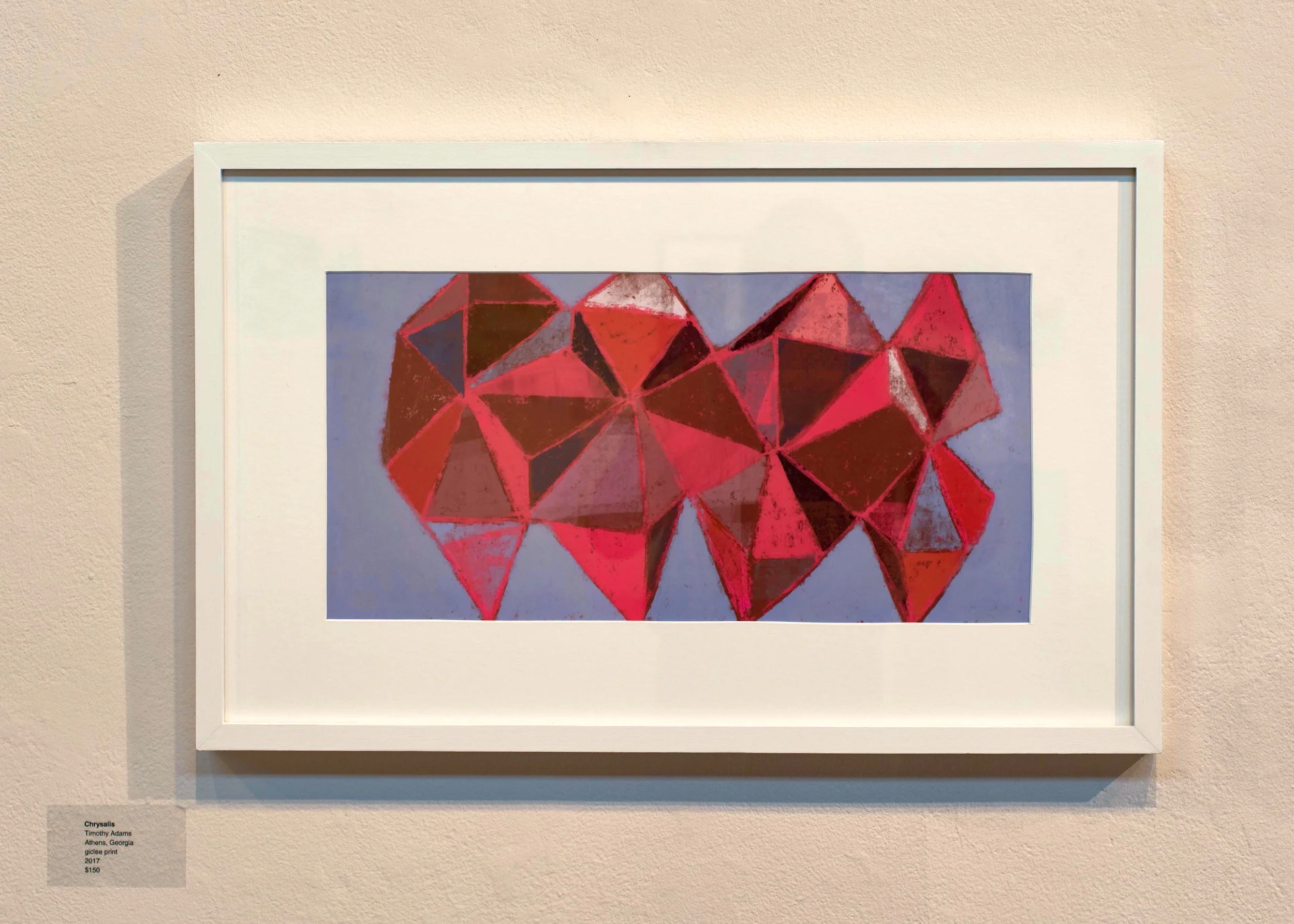  Chrysalis Timothy Adams Athens, GA Giclee Print 2017 $150