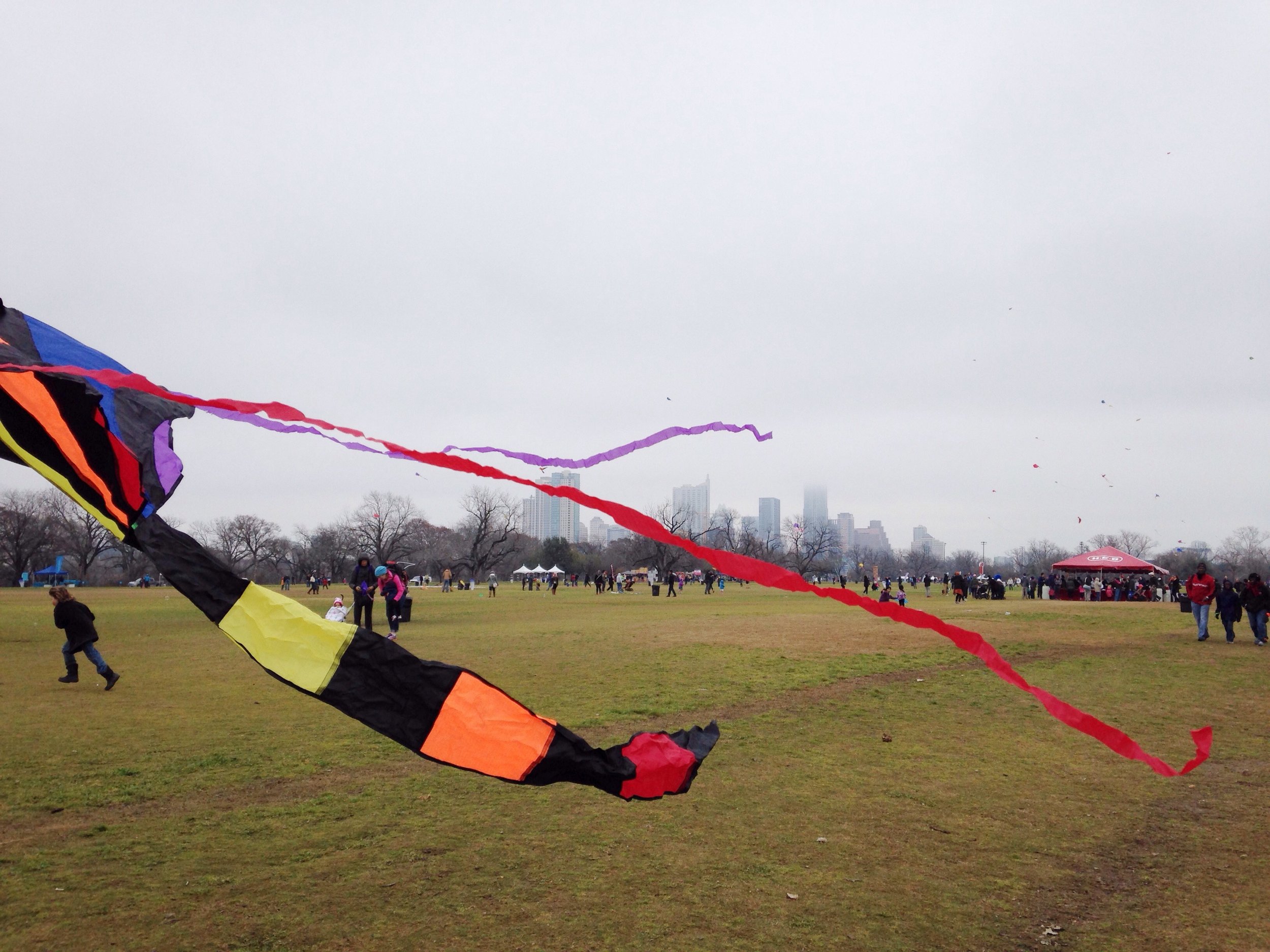 zilker8.jpg
