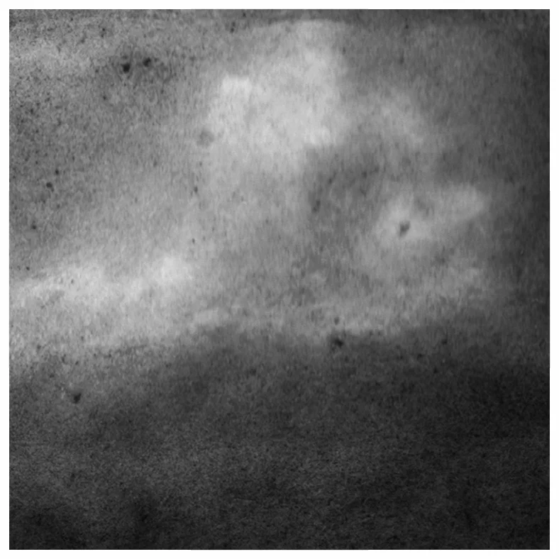 Untitled: OASP_02 © Todd Edward Herman - 2017 Digital C- Print - Dimensions Variable