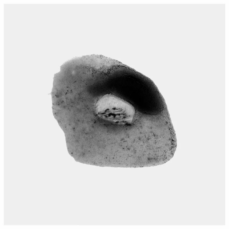 Untitled: OASP_01 © Todd Edward Herman - 2017 Digital C- Print - Dimensions Variable