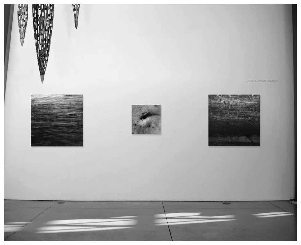 Proposal for Space Gallery, Denver Colorado All images © Todd Edward Herman 2017