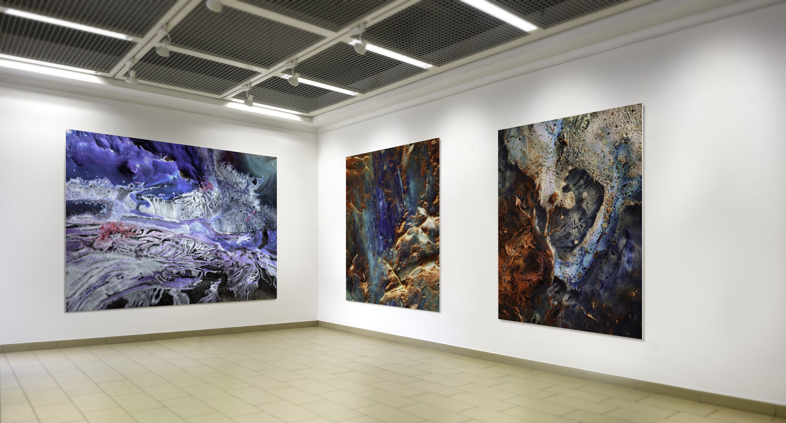  (Left to Right)  “ Coral Slice ”   MacoScapes - Aluminum Photograph - (60”x72”x2”)  “ Lava by the Ocean ”   MacroScapes - Aluminum Photograph - (60”x36”x2”)   “Blue Quasar 2B”      MacroScapes - Aluminum Photograph - (60”x36”x2”) 