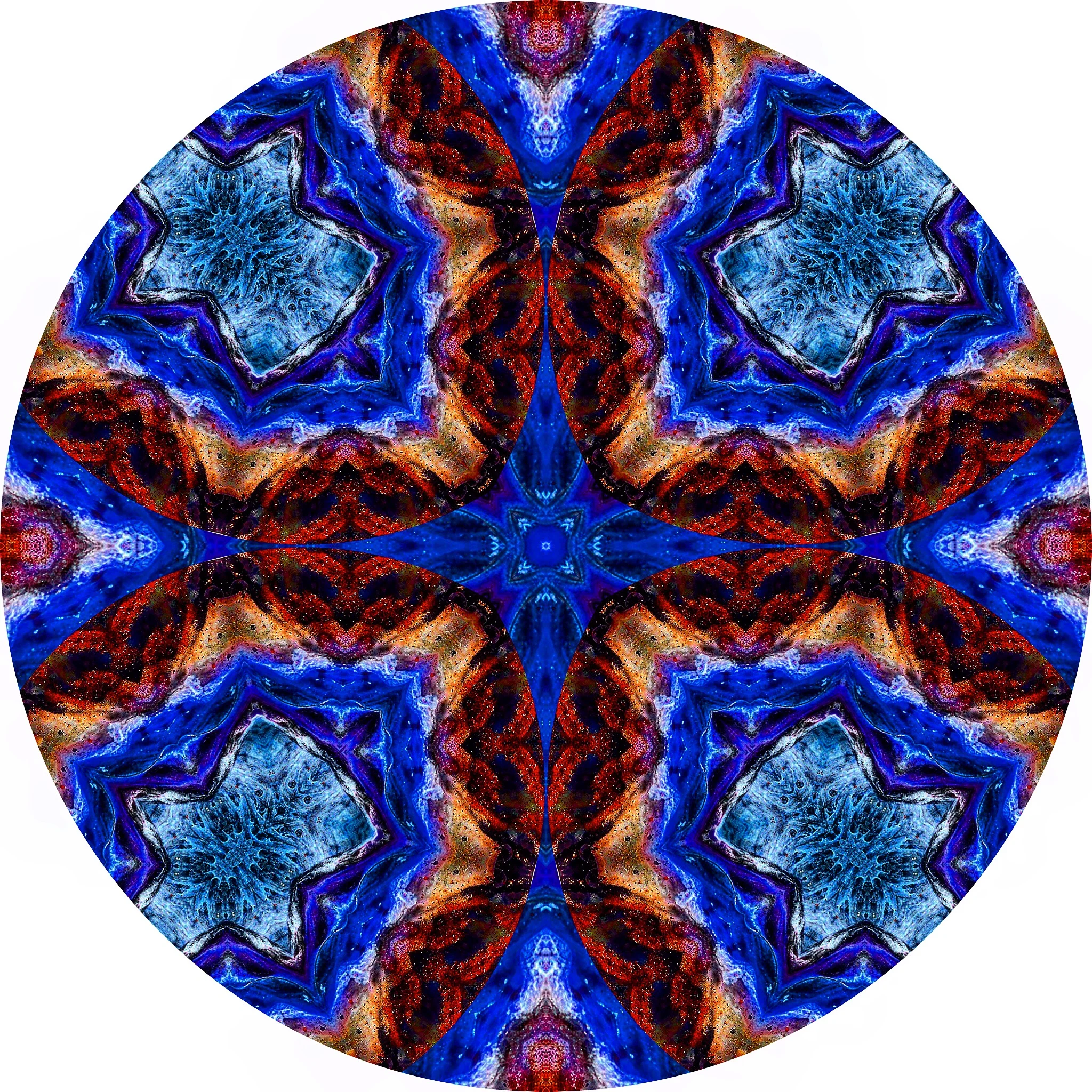 File Coral #A 8.JPG