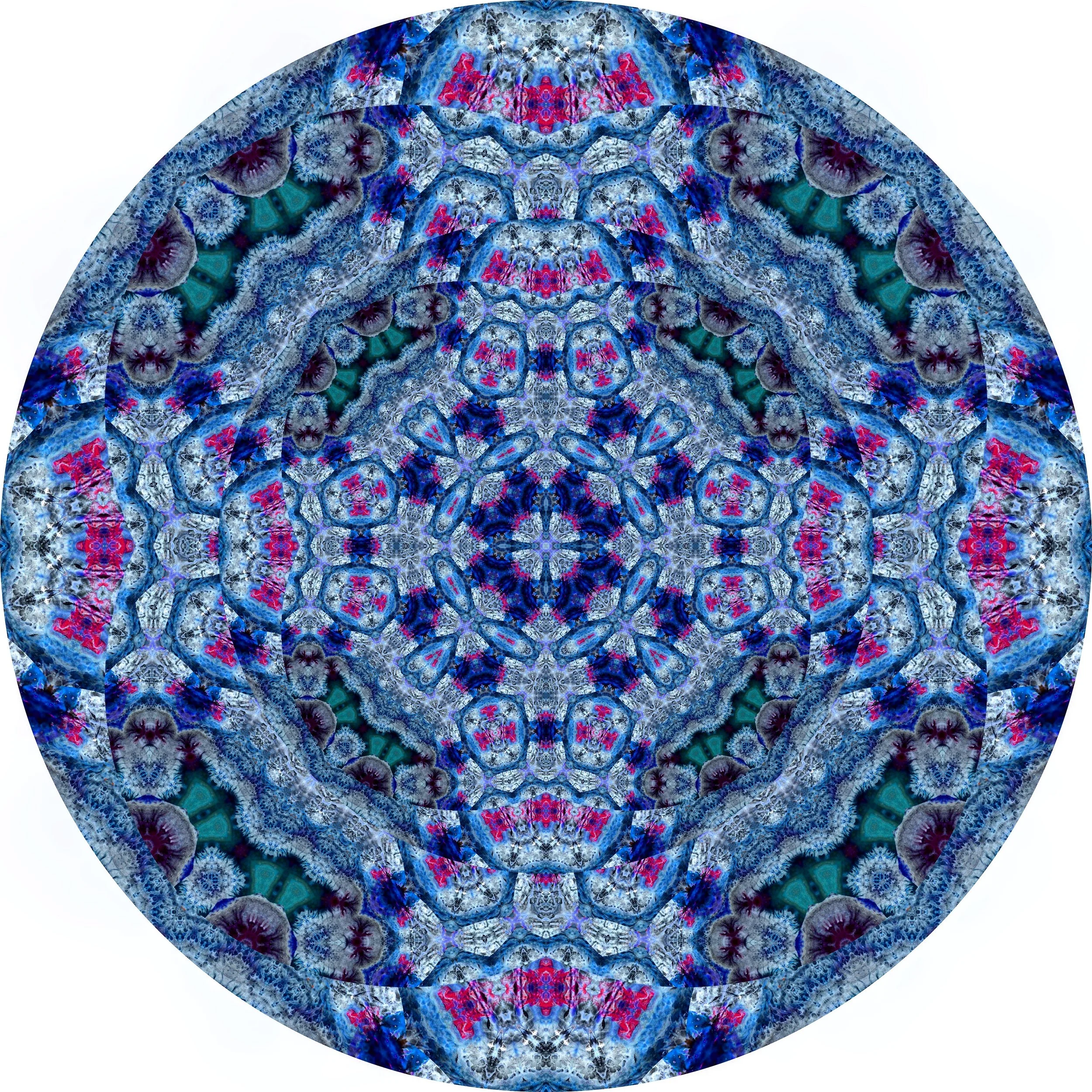 File Coral #A 12.JPG