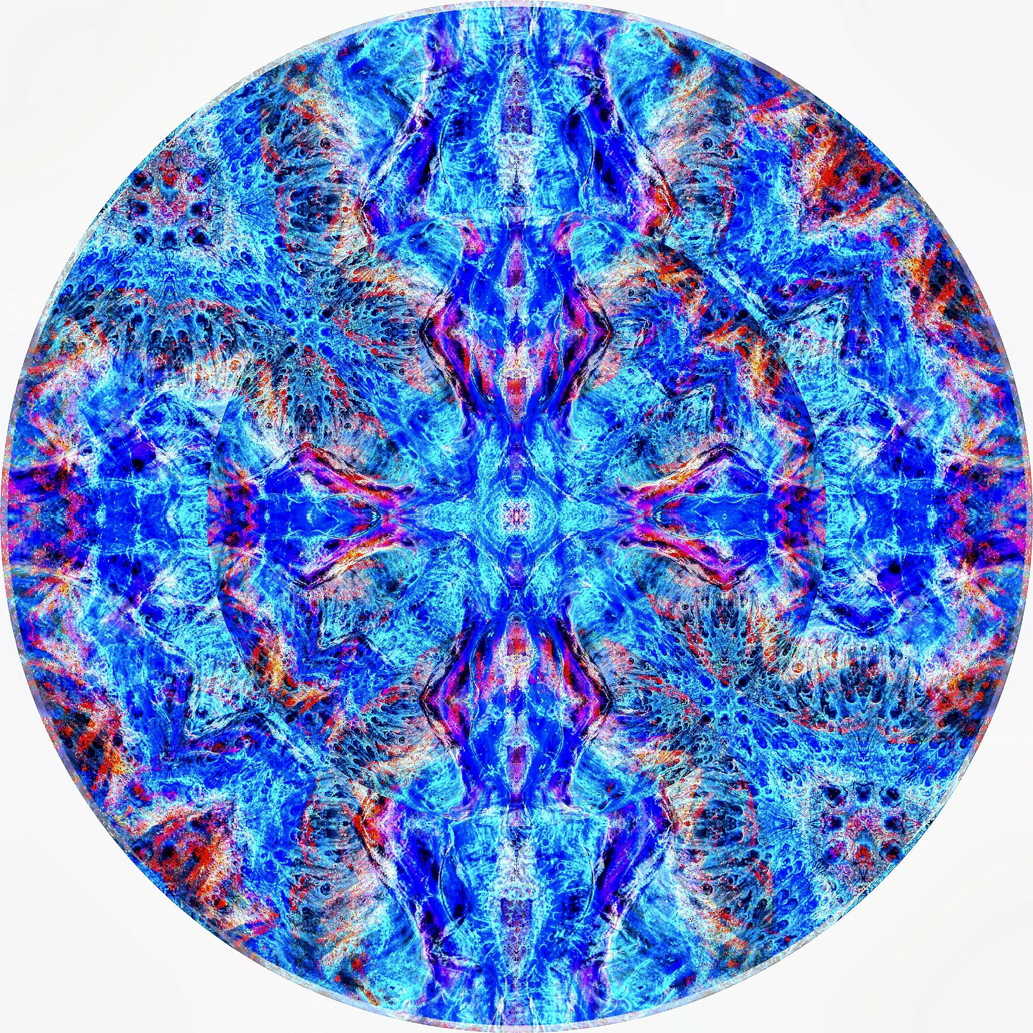 File Coral #A 15.JPG