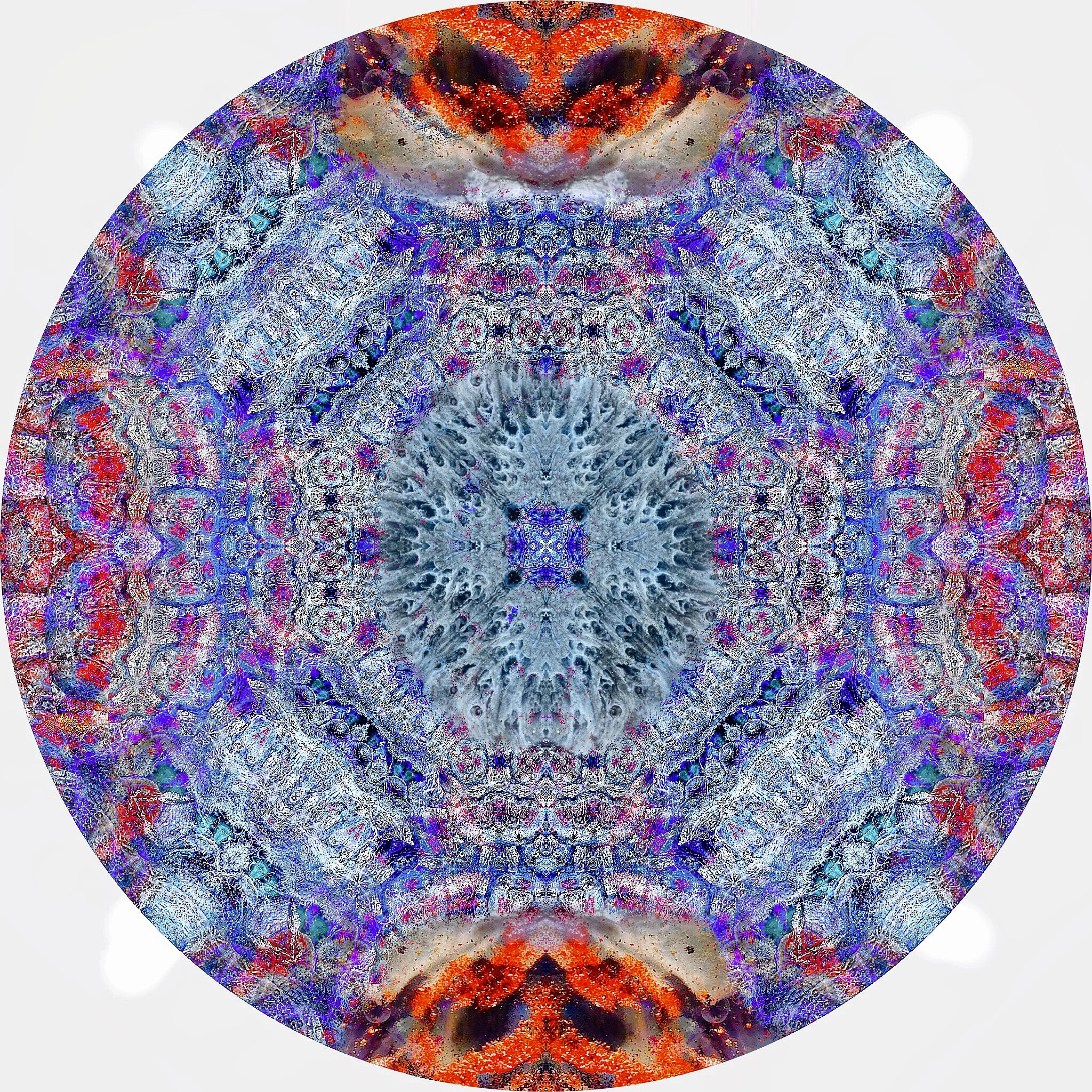 File Coral #A 16.JPG