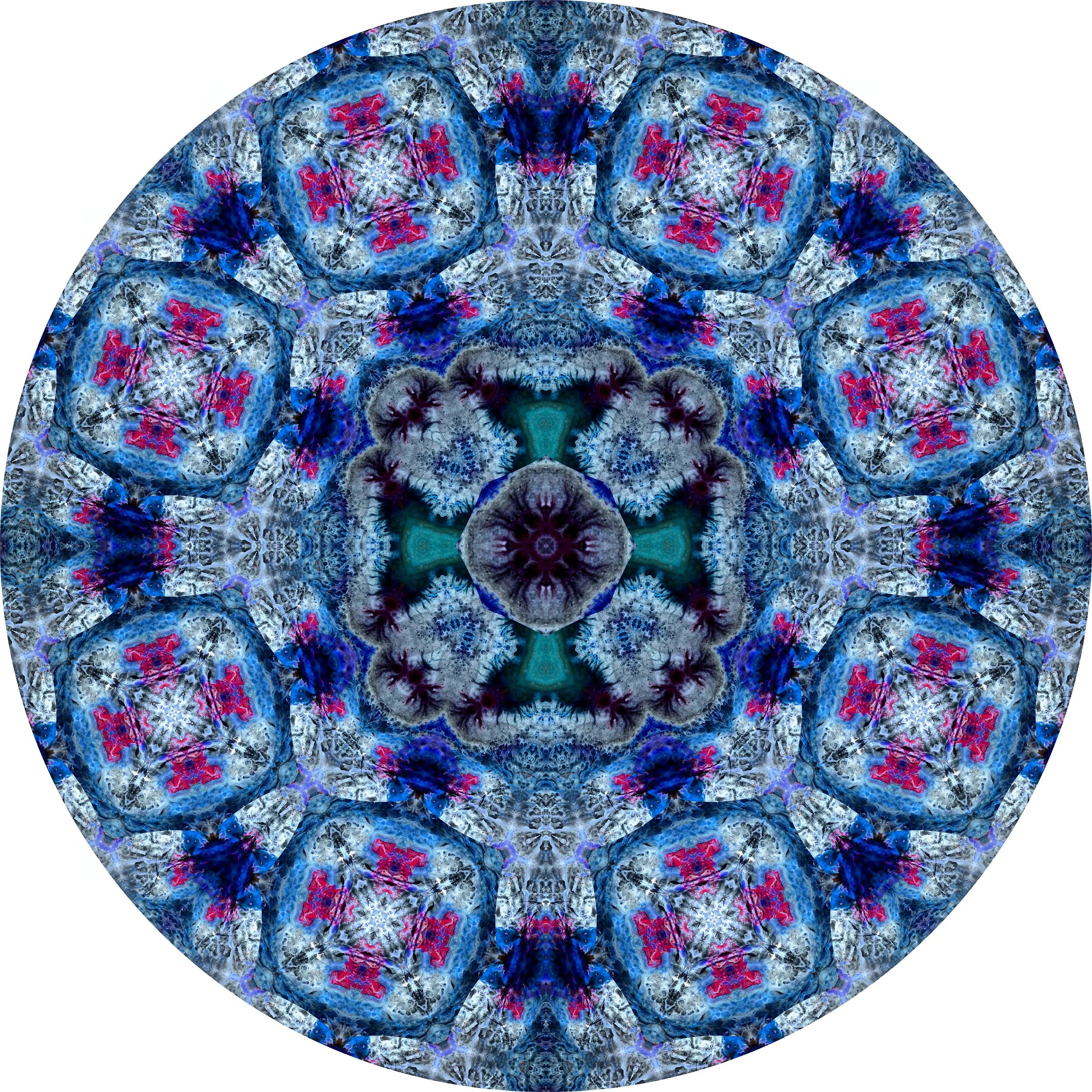 File Coral #A 17.JPG
