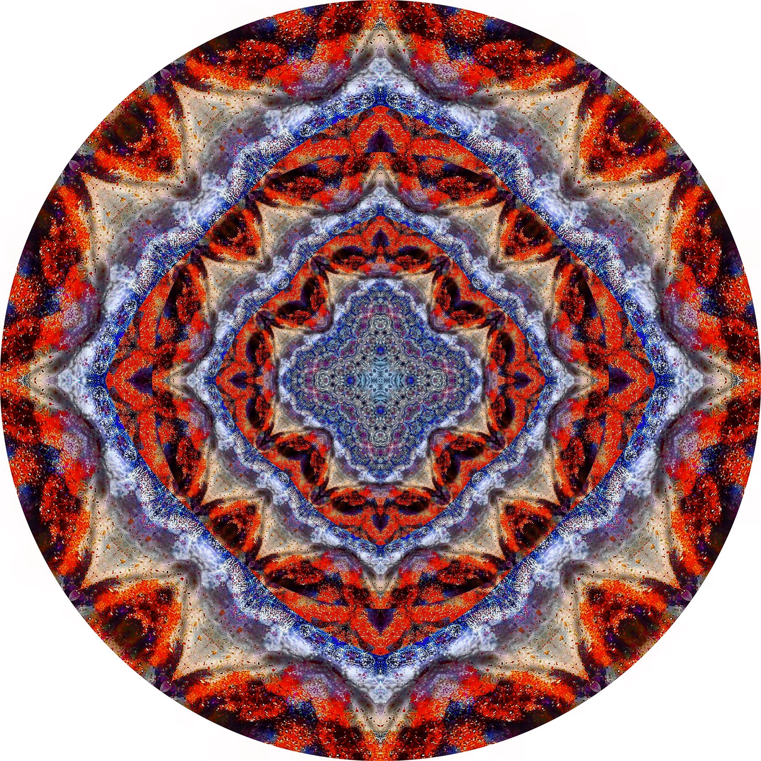 File Coral #A 18.JPG