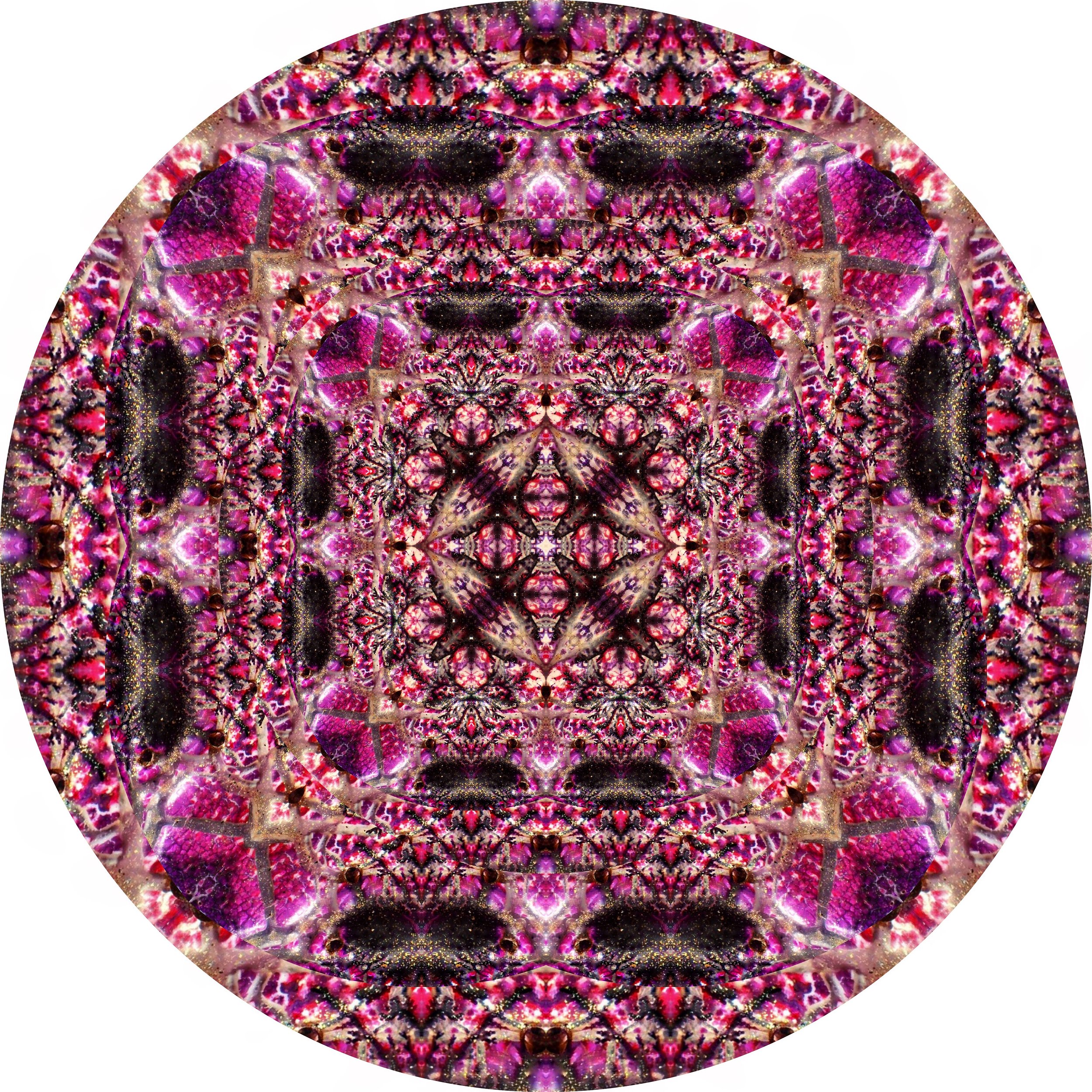 Pressed #A 12.JPG