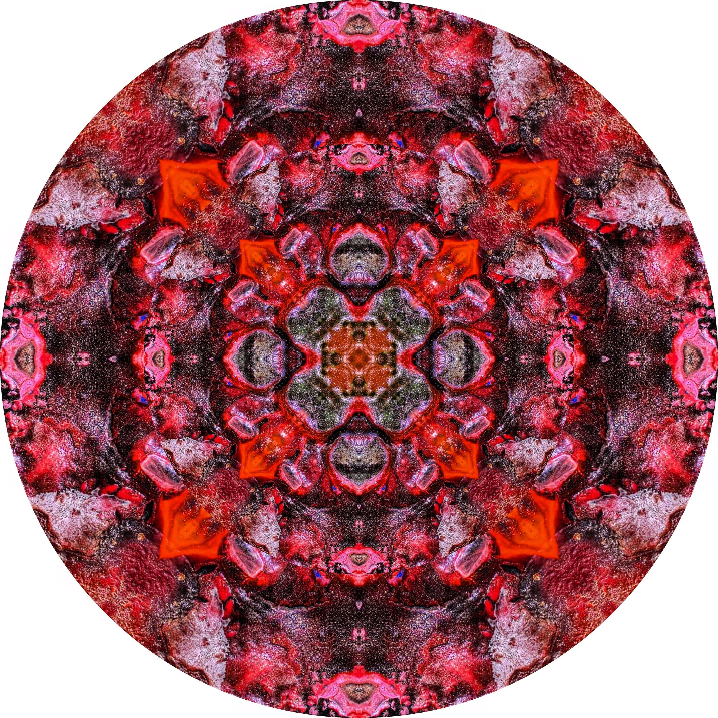 Mac Cheese #A 13.JPG